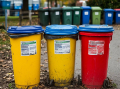 Раздельный сбор мусора хотят организовать в Запорожской области