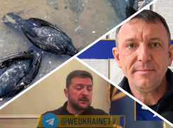 Новости Запорожья: контроль над ЗАЭС, обвинение генерала Попова и бессилие учёных