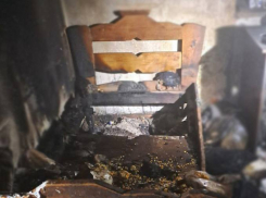 В Мелитопольском районе при пожаре погибла женщина