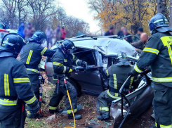 В Мелитопольском районе произошло смертельное ДТП