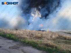 Ферма в селе Зелёный Гай оказалась под огнем боевиков ВСУ