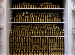 Житель Запорожской области получил 7 лет колонии за хранение патронов и гранат в холодильнике