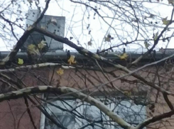 Смертельная угроза нависла над головами жителей города Запорожье 