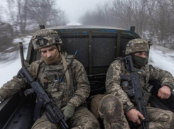 ВС РФ обнаружили в подвале Гуляйполя расстрелянную семью