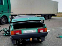 Водитель легковушки погиб в жутком ДТП с грузовиком в селе под Мелитополем