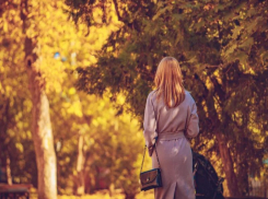 Какая погода ждет жителей Запорожской области на длинных выходных