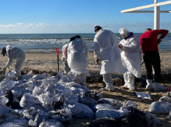 Выяснилось, что заставило Гехт вспомнить о работе в Запорожской области