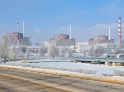 Высоковольтную линию починили на Запорожской АЭС во время локального перемирия