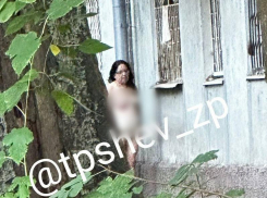 Голый променад устроила жительница Запорожья рядом со школой №63