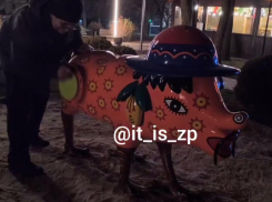 Появилось видео, как запорожец заставил свинью стонать от удовольствия