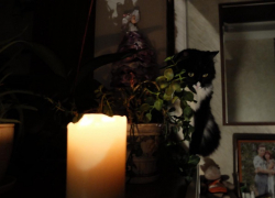 Более 5000 запорожцев остались без света: ВС РФ ударили по объектам ВСУ в областном центре ночью 10 декабря