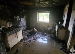 Жилой дом полностью выгорел в запорожском селе - опубликованы кадры МЧС