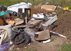 Жители Мелитополя снова пожаловались на жутко воняющую свалку рядом с остановкой