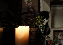 Названа причина, из-за чего треть Мелитополя останется без света 8 августа