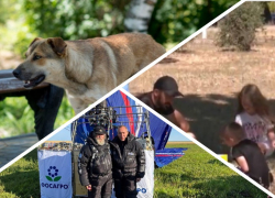 Новости Запорожья: военкомы мобилизовали отца-одиночку, новый рекорд Конюхова и отлов бездомных собак