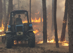 Масштабный пожар уничтожил сотни растений в Запорожье