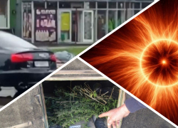 Новости Запорожья: смертельное ДТП, срок за наркотики в собачьей будке и мощная магнитная буря