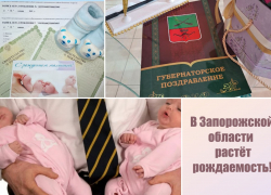 В Мелитопольском отделе ЗАГС зарегистрировали первую двойню в этом году