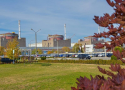 Названа дата остановки огня возле Запорожской АЭС для ремонта ЛЭП