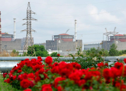 Россия не пойдет на ротацию МАГАТЭ на Запорожской АЭС через Украину