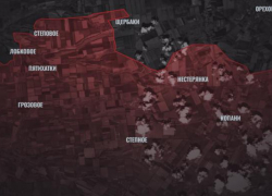 Элитные части ВСУ переброшены для контрудара на Запорожском фронте СВО