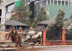 Шквалистый ветер в Запорожской области продлится до конца 16 февраля