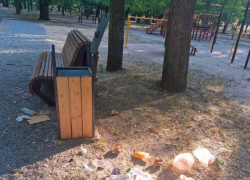 Превращающие “эко-парк” в свалку подростки возмутили жителей Мелитополя