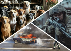 Новости Запорожья: украинский удар по «Жигулям», продвижение на фронте и 30 собак в однушке