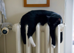 Стало известно когда в Запорожье отключат отопление