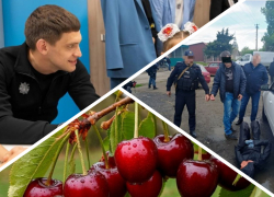 Новости Запорожья: катастрофа из-за гибели посевов, убийство отца и эвакуация из села под Запорожьем