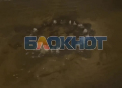 Жители Мелитополя показали, как улицу Ярослава Мудрого затопило водой после мощного прорыва трубы