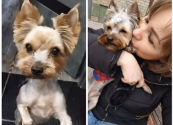 Новая беда случилась с мамой сбитой экс-прокурором в Мелитополе Лизы Мелиховой