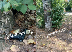 Какое опасное оружие нашли подростки в Запорожье