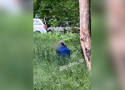 Запорожцы продолжают гадить в общественных местах