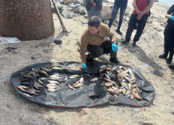 Запорожца уличили в незаконном вылове рыбы почти на полмиллиона рублей