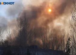 Спровоцированные ВСУ пожары фиксируют в окрестностях Энергодара