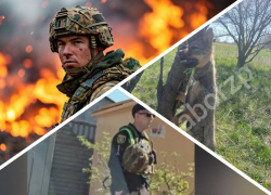 Новости Запорожья: бои на фронте, пасхальная мобилизация и убийство собаки