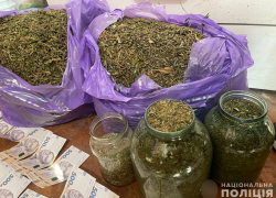 Запорожец попал под дело за хранение 5 килограмм травы в своём доме