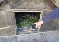 Хранившего наркотики в собачьей будке запорожца отправили в тюрьму на 4 года