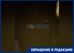 Говно-потоп в подвале полуразрушенного от удара ВСУ дома показала жительница Васильевки