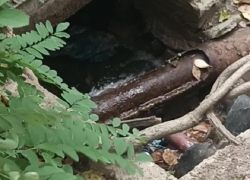 Жители Бердянска показали на видео место новой аварии на водопроводе