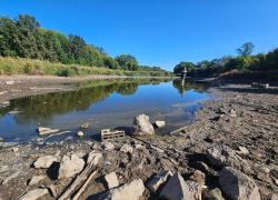 Нефтепродукты нашли в пруду Запорожья после массового мора рыбы  