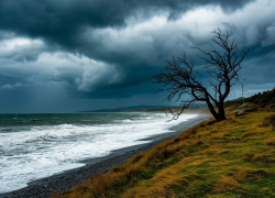 Штормовое предупреждение из-за сильного ветра объявлено в Запорожской области