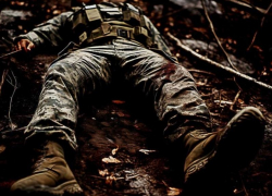 Новости СВО: взятие Ровнополя, подготовка к запорожскому наступлению и гибель бойцов ВСУ