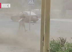 Появились кадры мощной пыльной бури, повалившей деревья в Энергодаре