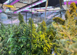 Полицейские накрыли нарколабораторию в Запорожье