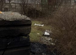 52-летний мужчина загадочно погиб в огне возле частного дома в Мелитополе