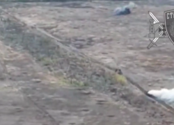 «Самое сложное еще впереди»: как идут бои за Малую Токмачку на подступах к Орехову