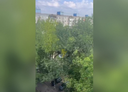 «По нему психушка плачет»: украинцу привиделся Путин в Запорожье