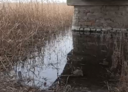 В Запорожской области намерены расчистить реку Берда